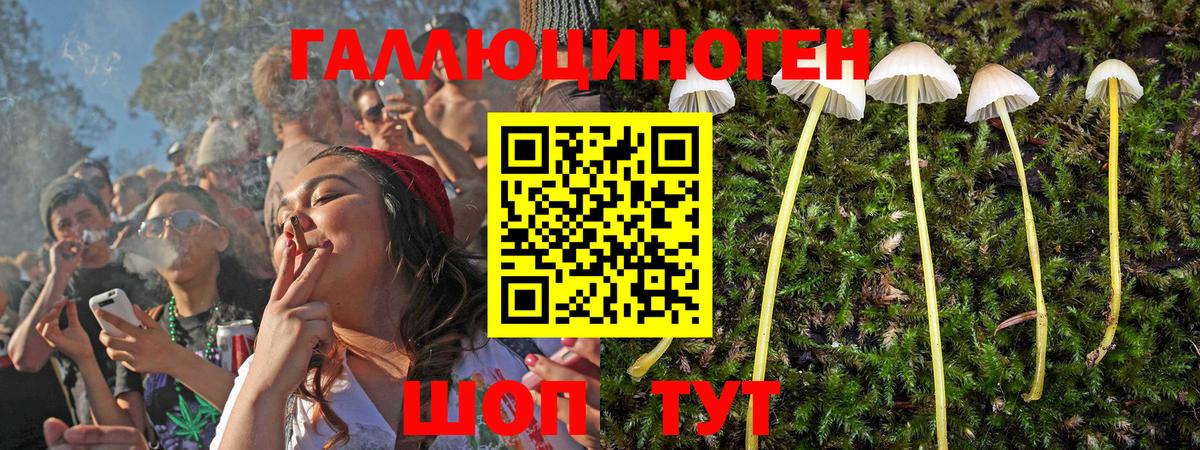 Галлюциногенные грибы прущие грибы  Вход с VPN  Похвистнево 