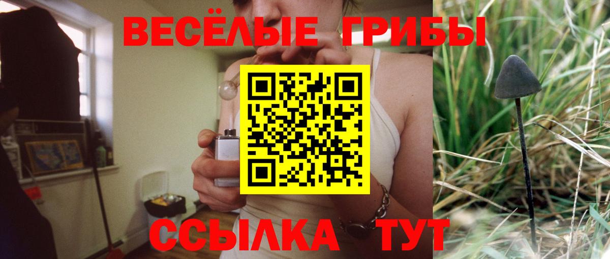 Псилоцибиновые грибы Psilocybe Похвистнево